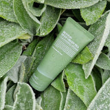 Benton – Deep Green Tea Cleansing Foam 120g